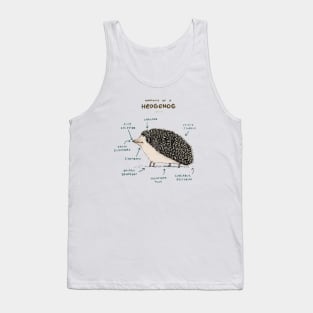 Anatomy of a Hedgehog Tank Top